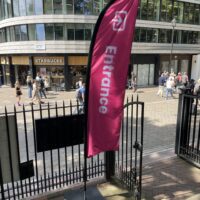 Feather flag printing