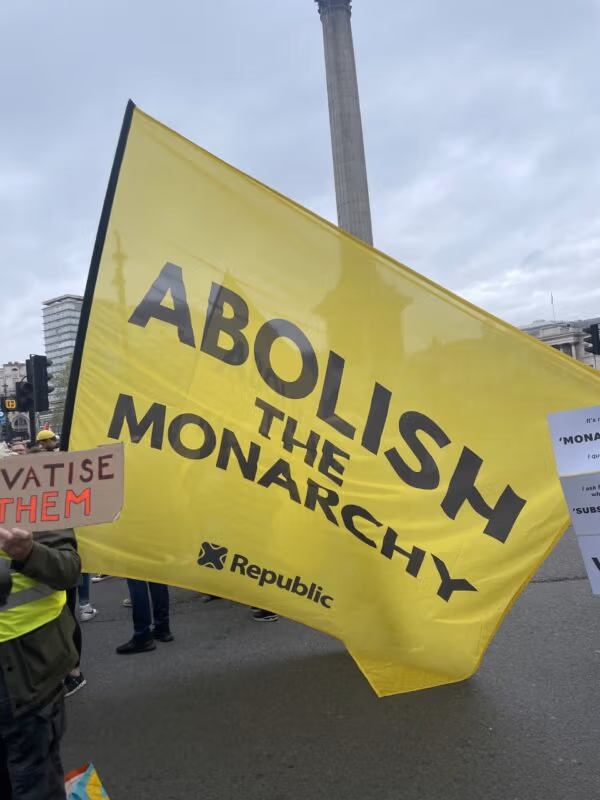 Protest flags