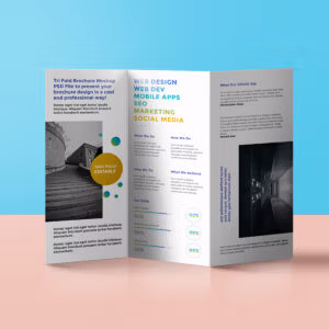 C fold express leaflet printing