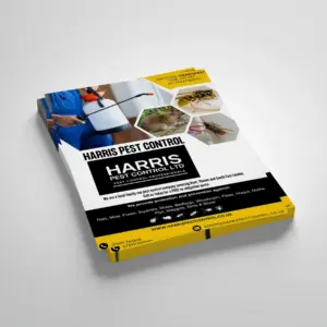 Printed flyers
