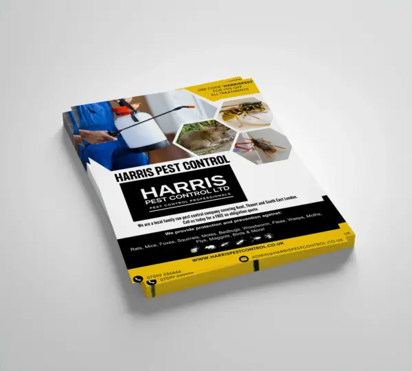 Printed flyers