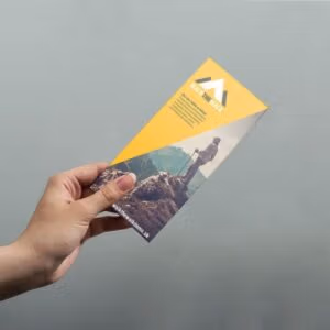 DL flyer printing essex